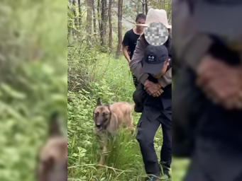 云南楚雄“汪汪队”35小时成功找回失联老人